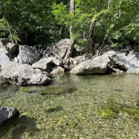 지장산 계곡 방문