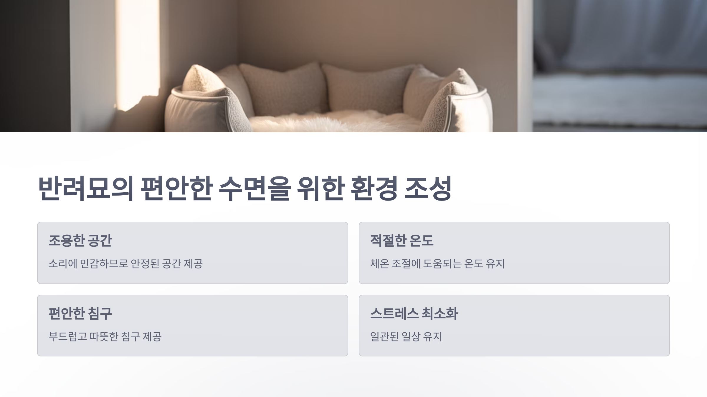 참조-고양이의-자는-자세-5