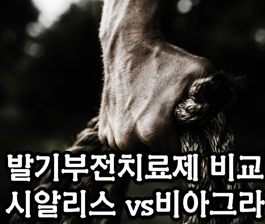 타다라필VS실데나필...시알리스VS비아그라 [발기부전 약 비교]