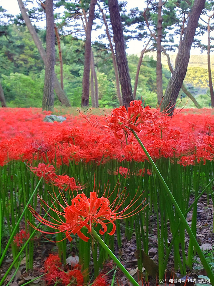 보령 가볼만한곳 베스트10