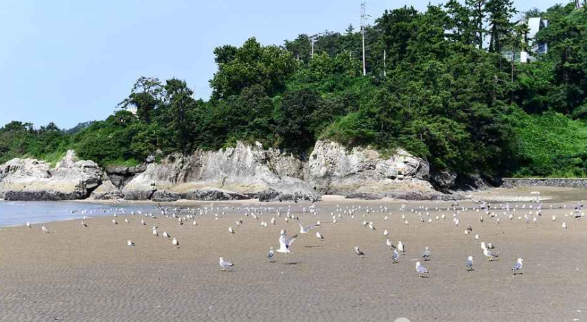 가마미해수욕장