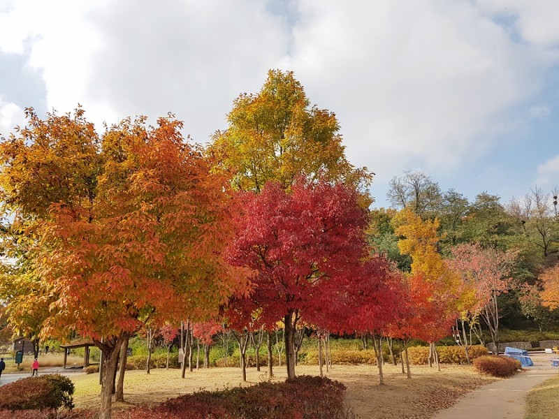 서서울호수공원