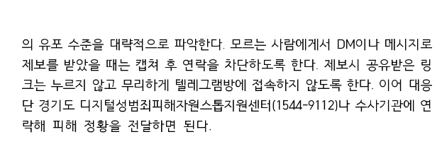 텔레그램 딥페이크 보도자료