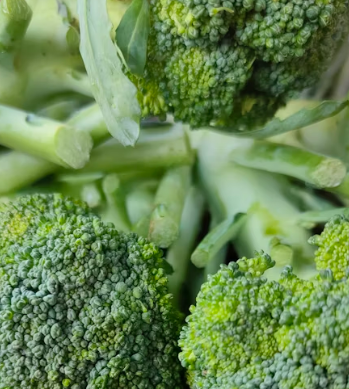 섬유근육통에 좋은 음식 영양제 식단