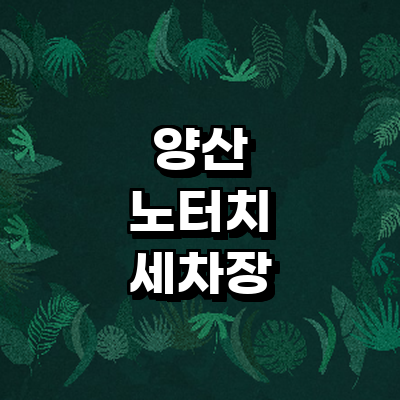 양산시 노터치 세차