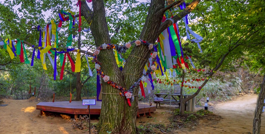 경주 엑스포대공원