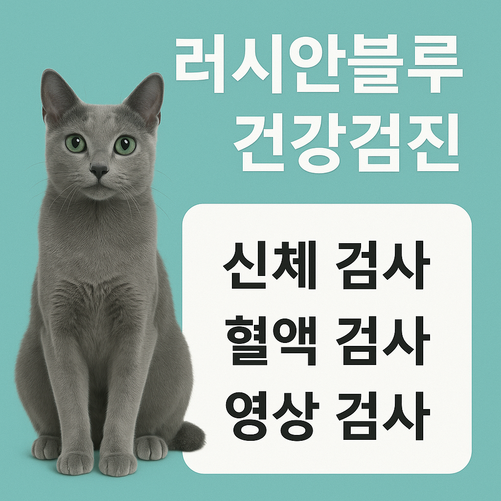 러시안블루 건강검진