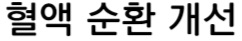 혈액순환개선
