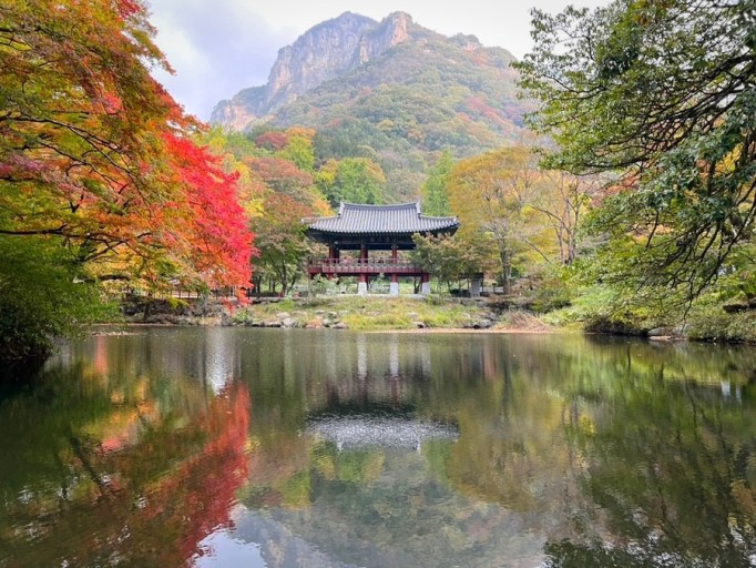 단풍 구경 명소