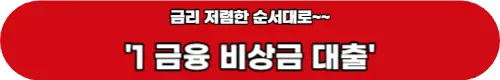 비상금대출