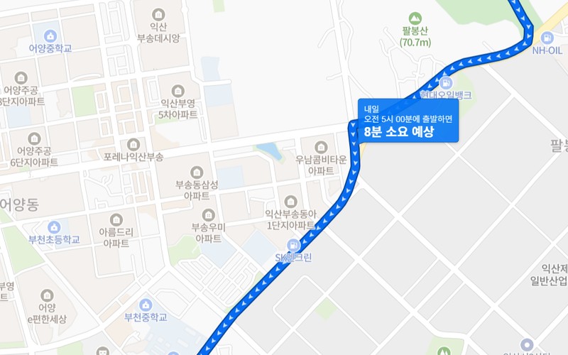익산 천만송이 국화축제 주차 팁 및 무료 셔틀버스&middot;추천 관람 동선 총정리