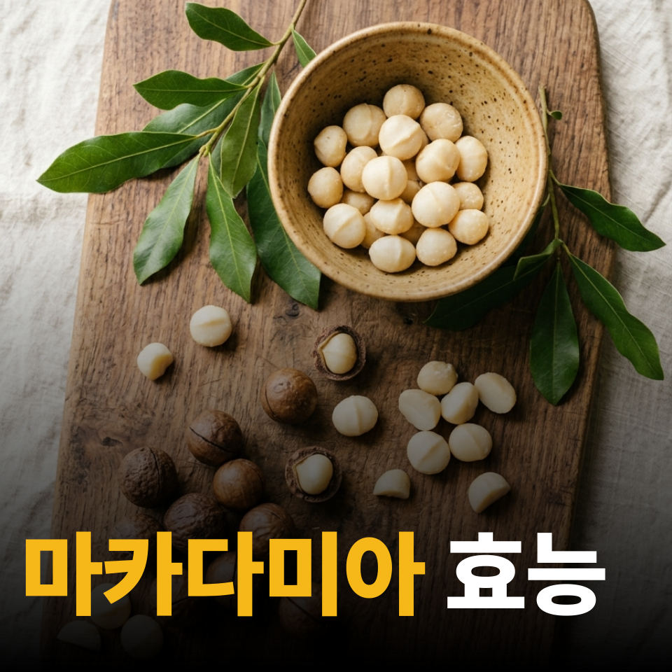 마카다미아의 효능