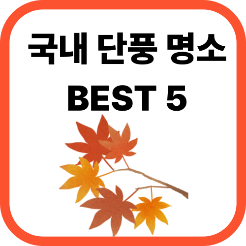 단풍