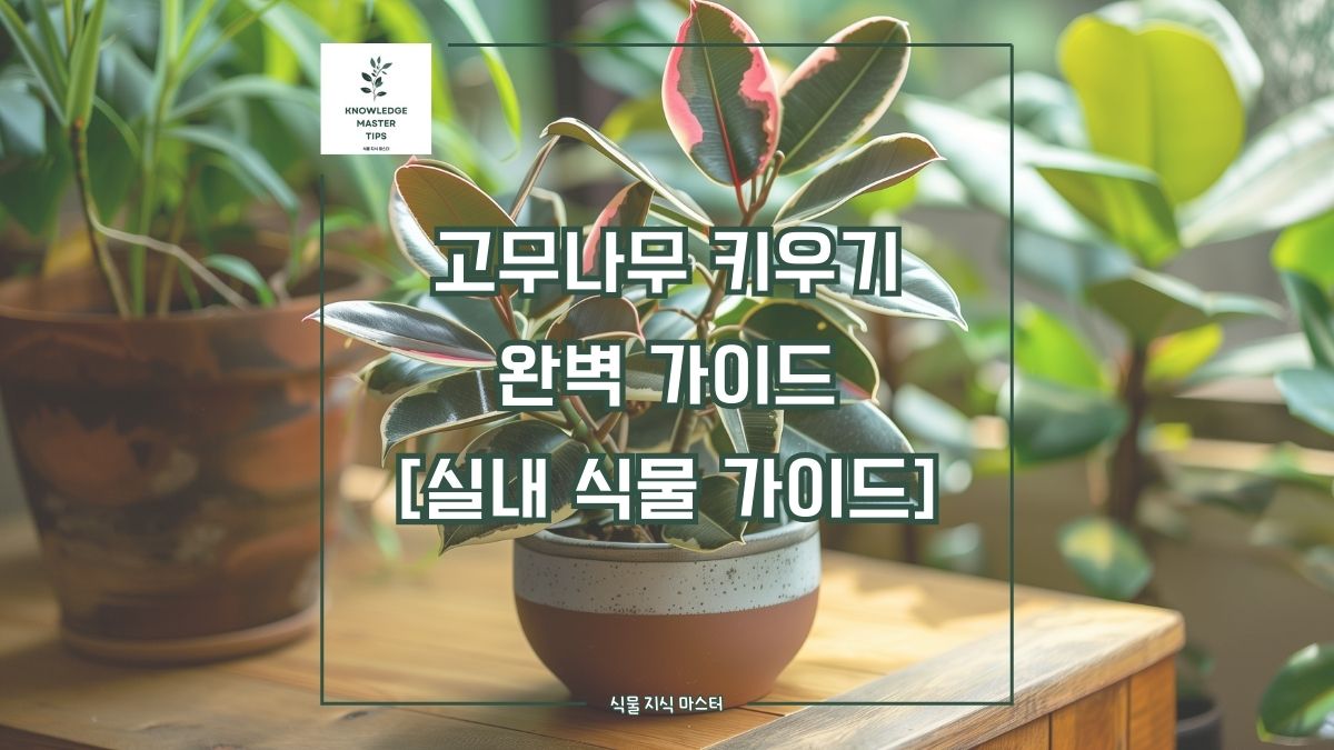 고무나무 키우기, 완벽 가이드 [실내 식물 가이드]