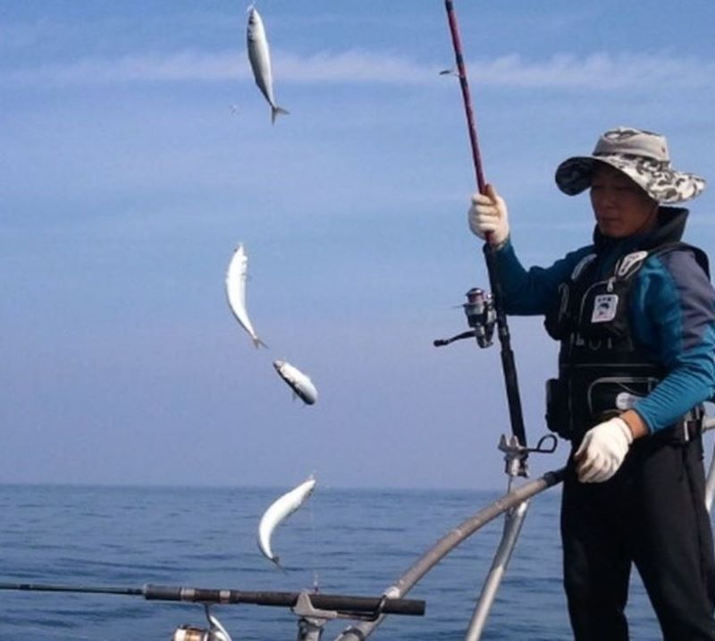 동해 여름 고등어 배낚시-지깅 기법, 포인트 정보