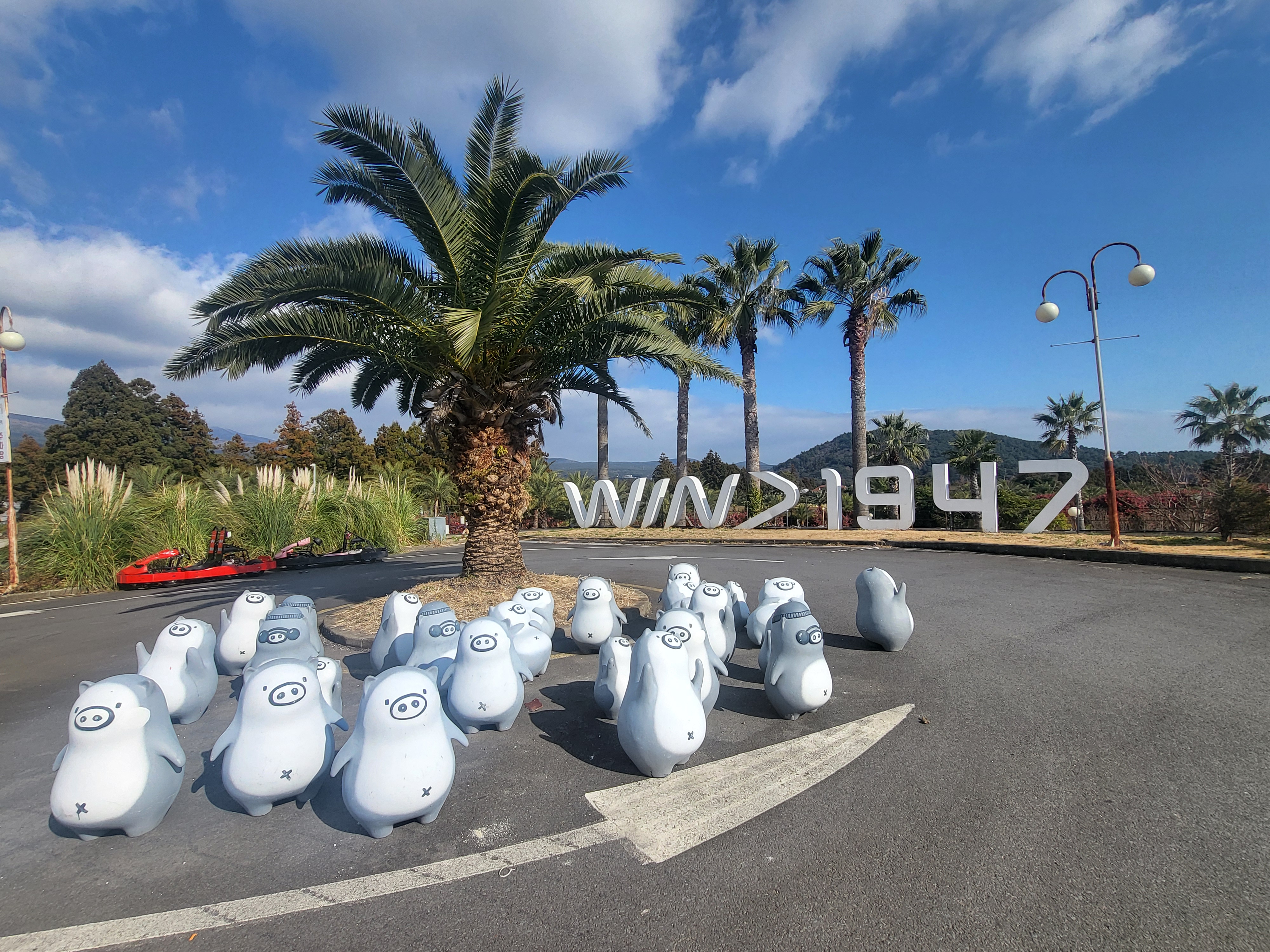 겨울 제주도 풍경