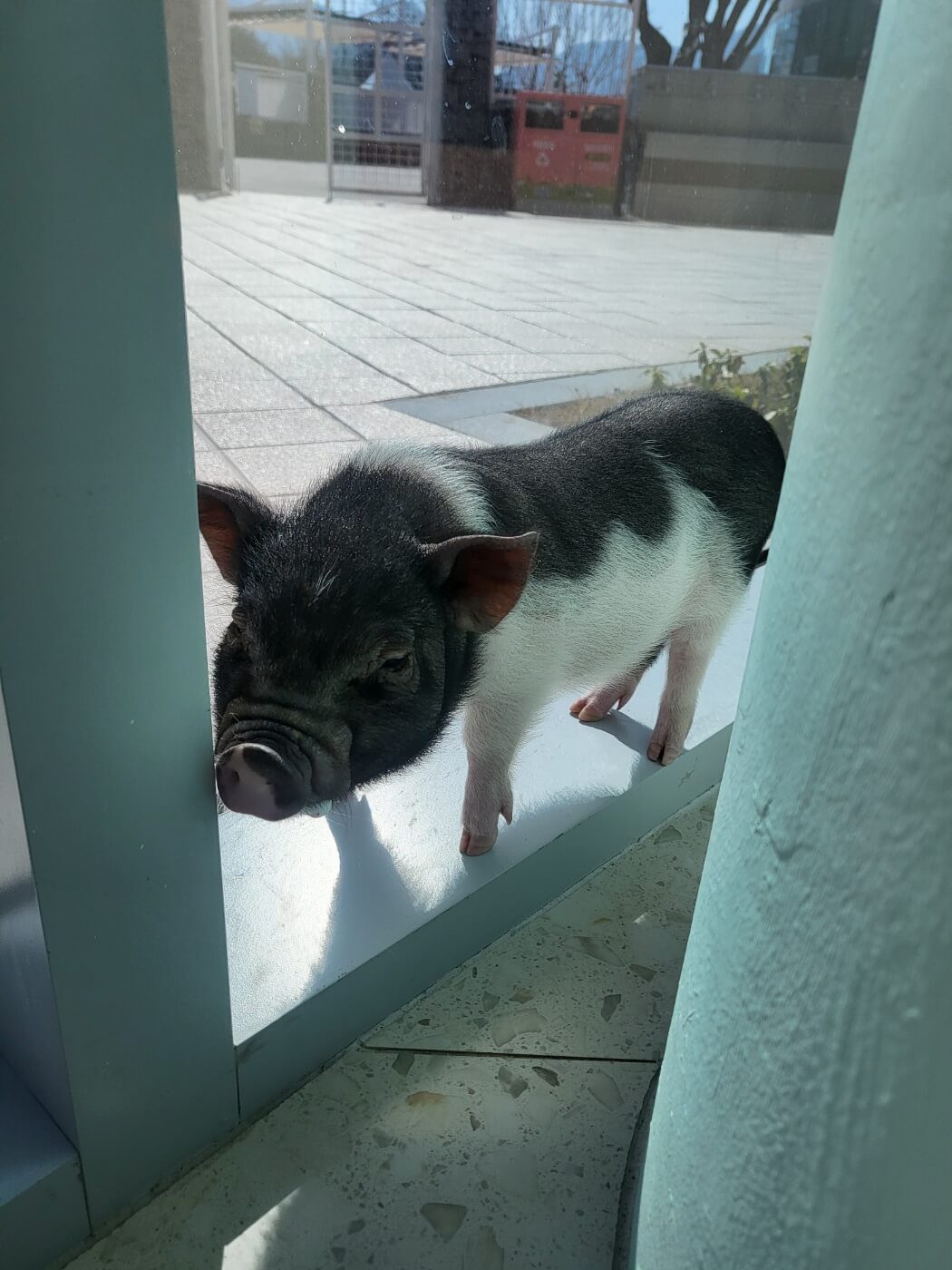 반려동물지원센터 5