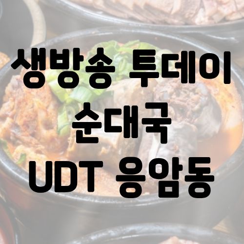 생방송 투데이 순대국 UDT 응암동