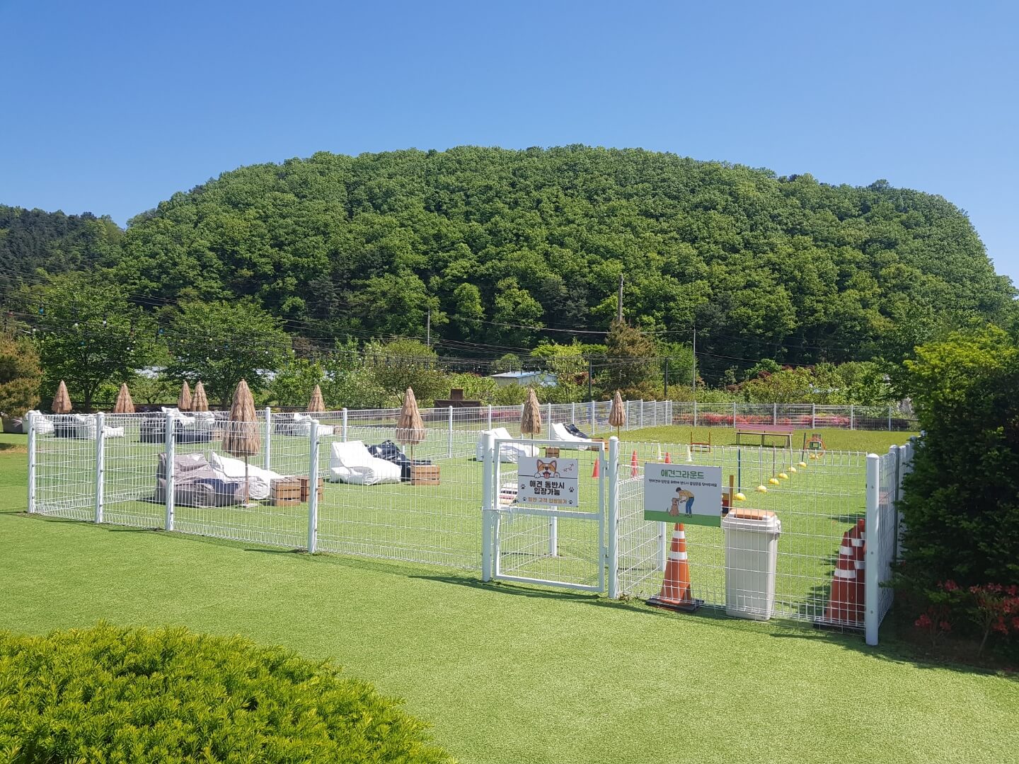 경기도 가평 카페 니드썸레스트 위치 리뷰 사진 인스타 맛집