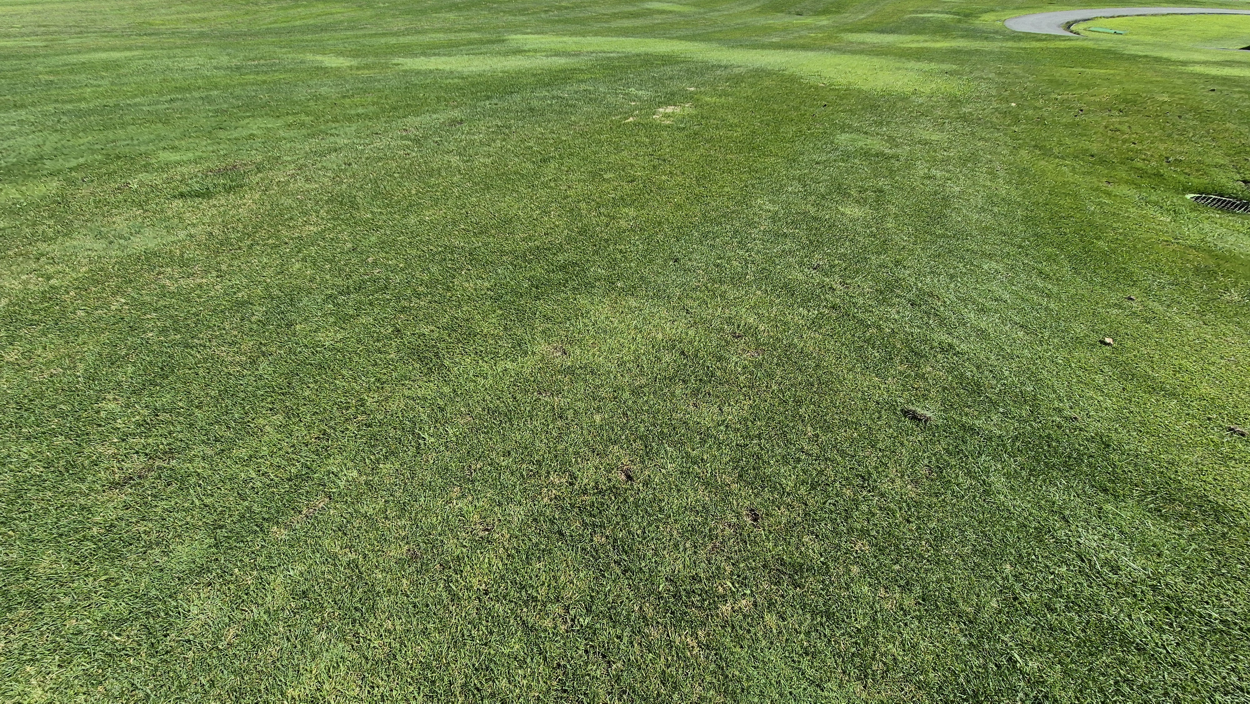 마론cc 라운드 후기