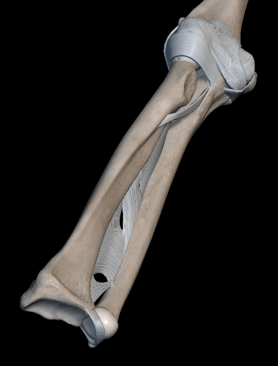 손목 바깥쪽 통증 대표적인 원인