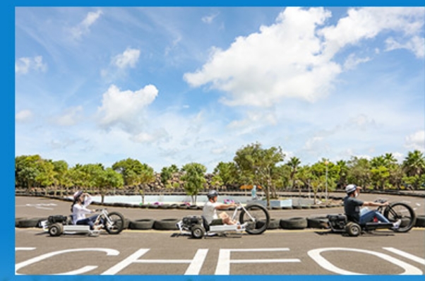 [5월 축제]2025 여름꽃 &amp; 능소화축제❘기간, 비체올린 예약, 사진영상 콘테스트 응모방법