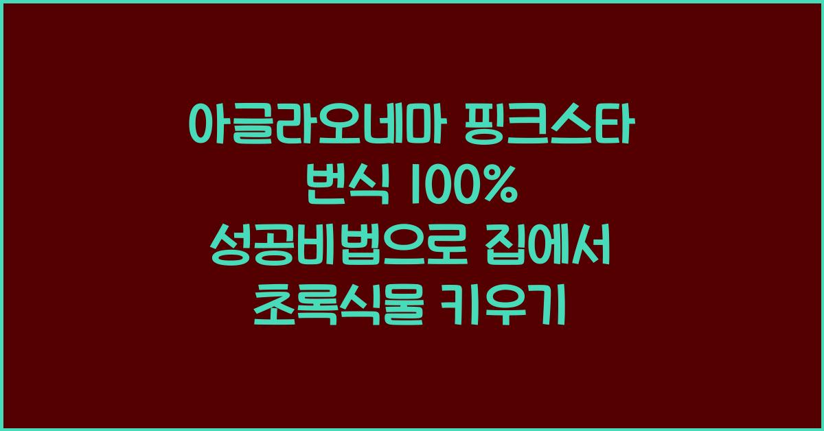 아글라오네마 핑크스타 번식 100% 성공비법