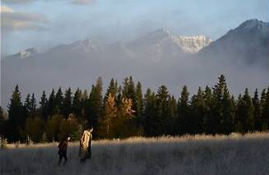 이 사랑 통역 되나요?