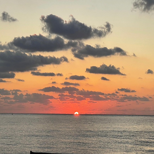 2026 신년운세 무료 보기