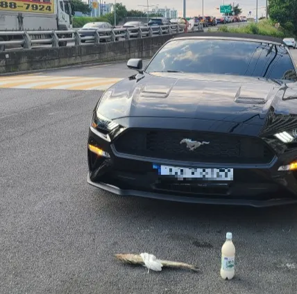 자동차-약식-고사