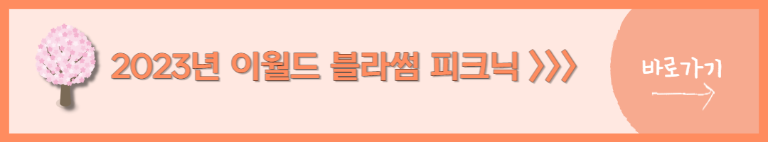 2023년 벚꽃 (22)