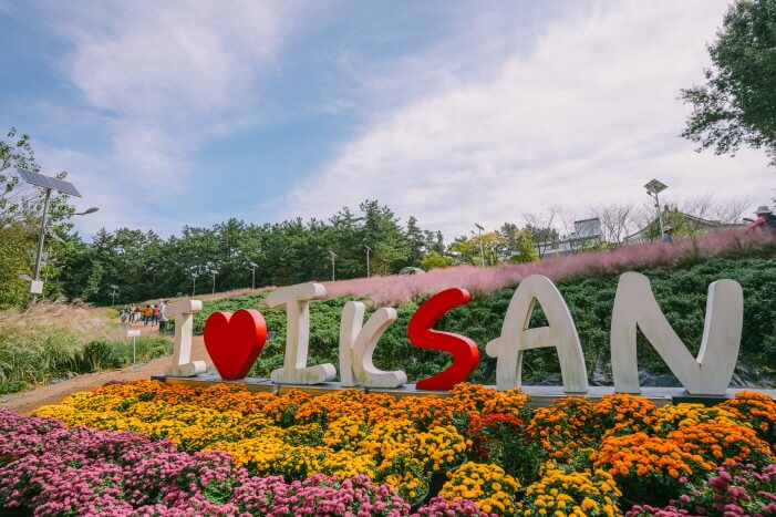 제22회 익산 천만송이 국화축제 2025 : 일정·프로그램·볼거리 총정리