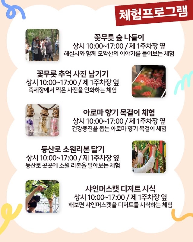 함평모악산 꽃무릇축제 살펴보기 5