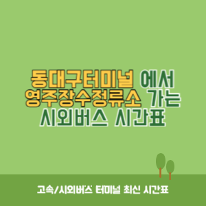 동대구터미널에서 영주장수정류소 가는 시외버스 시간표 최신정보