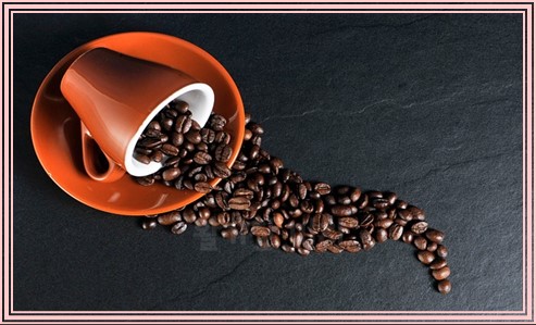 임신중 금기음식 10가지