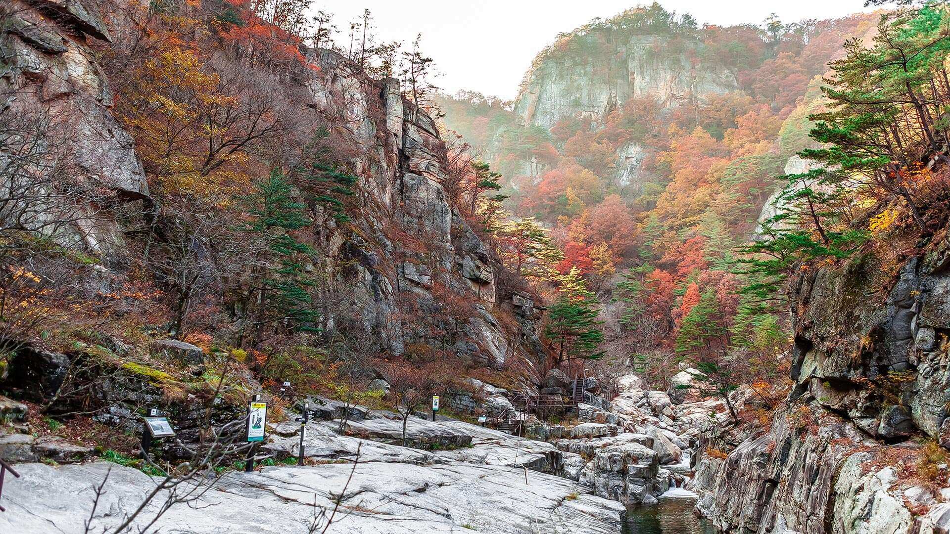 강원도 가을 단풍 여행 가이드 : 2025 강릉 소금강 단풍 절정 시기 &amp; 추천 코스