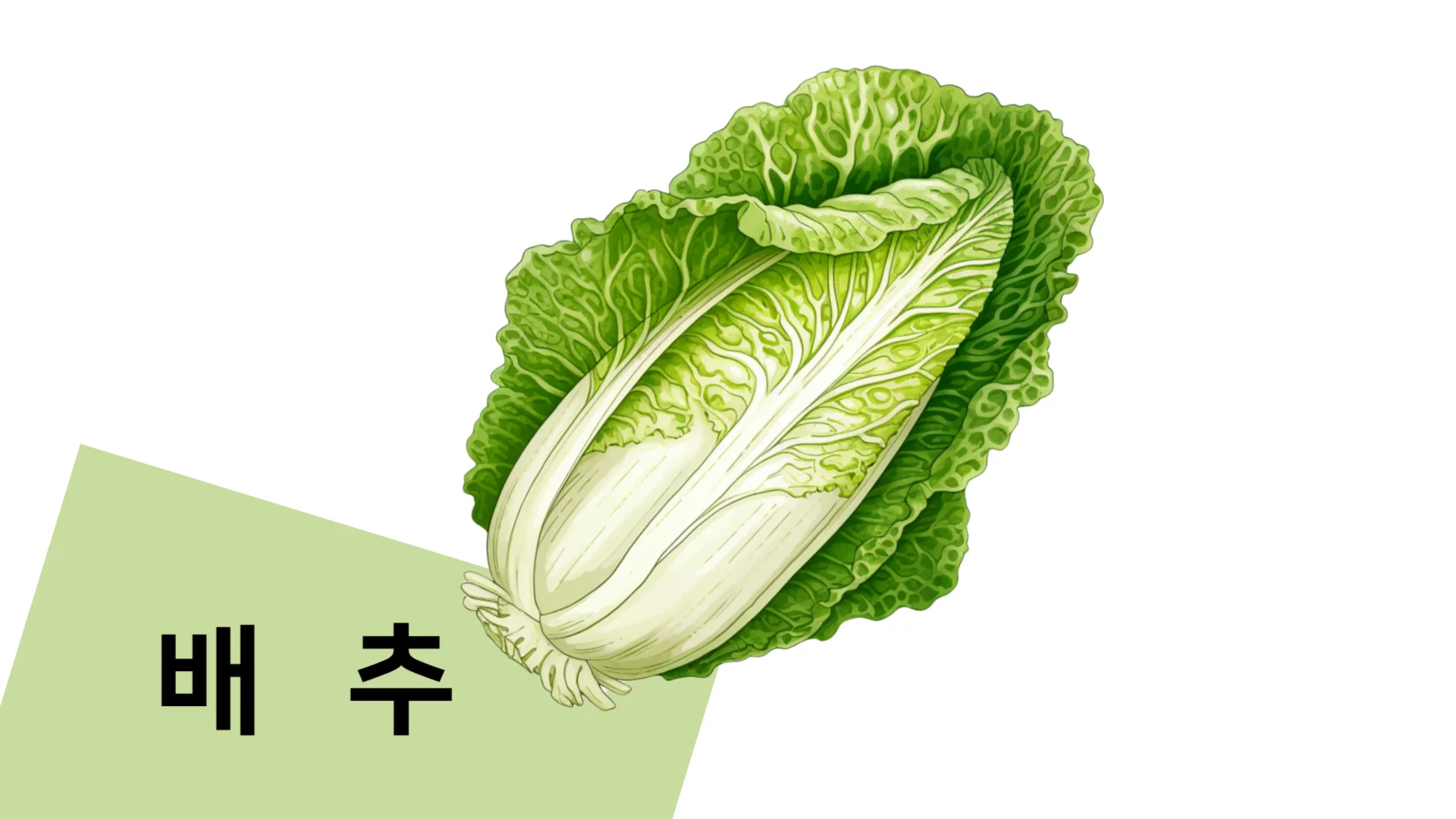 11월-제철-음식-1