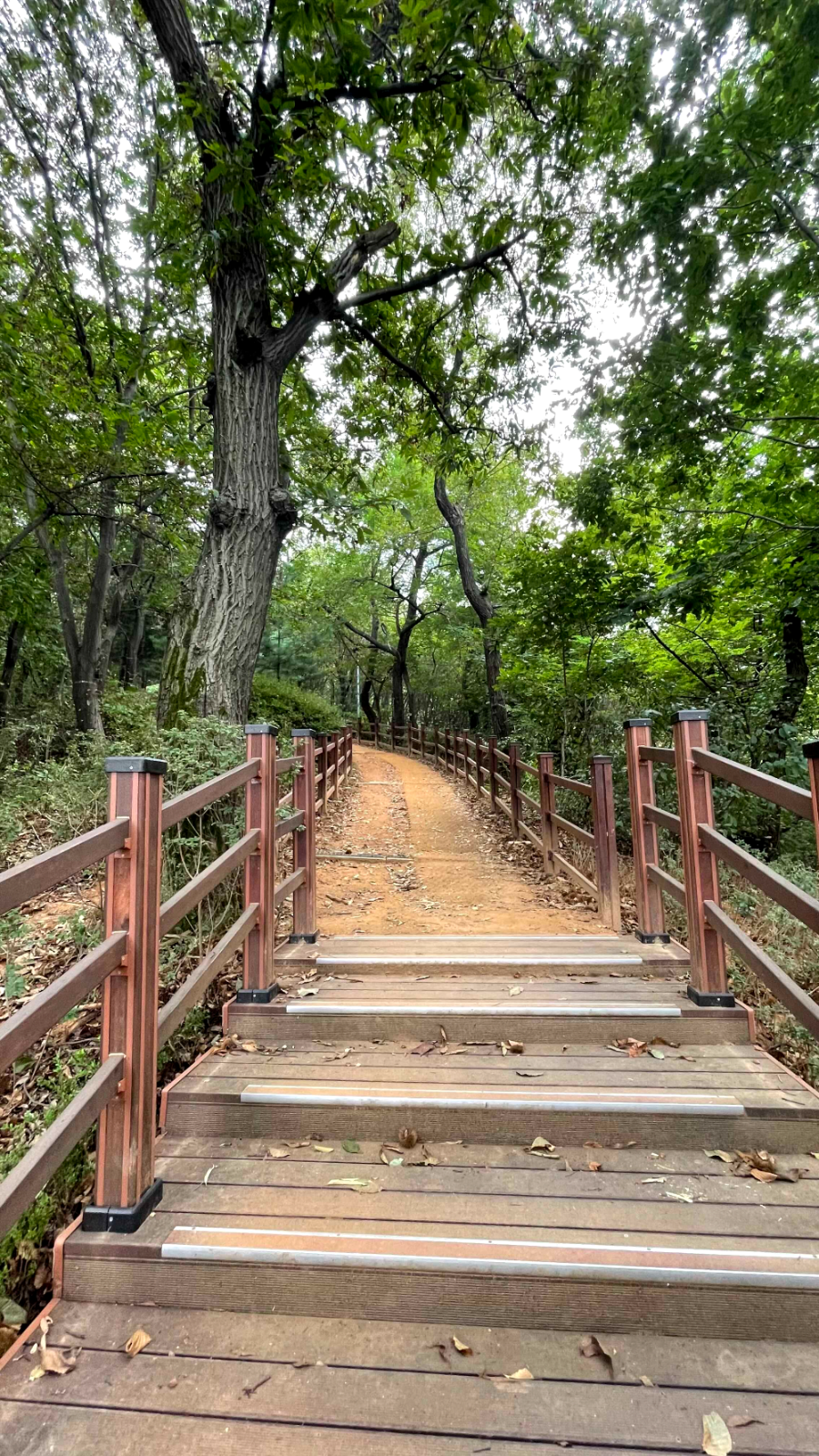 광명 구름산 가을산행 코스