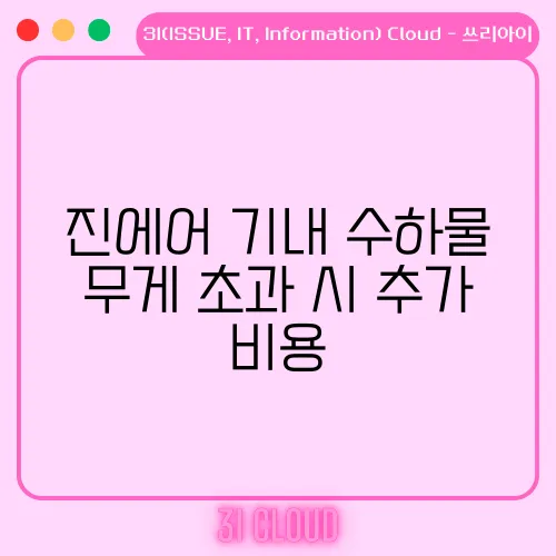진에어 기내 수하물 무게 초과 시 추가 비용