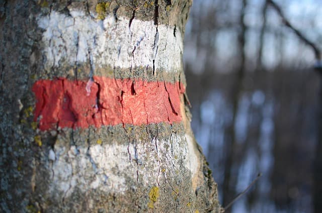 -지 않다 vs 안의 차이