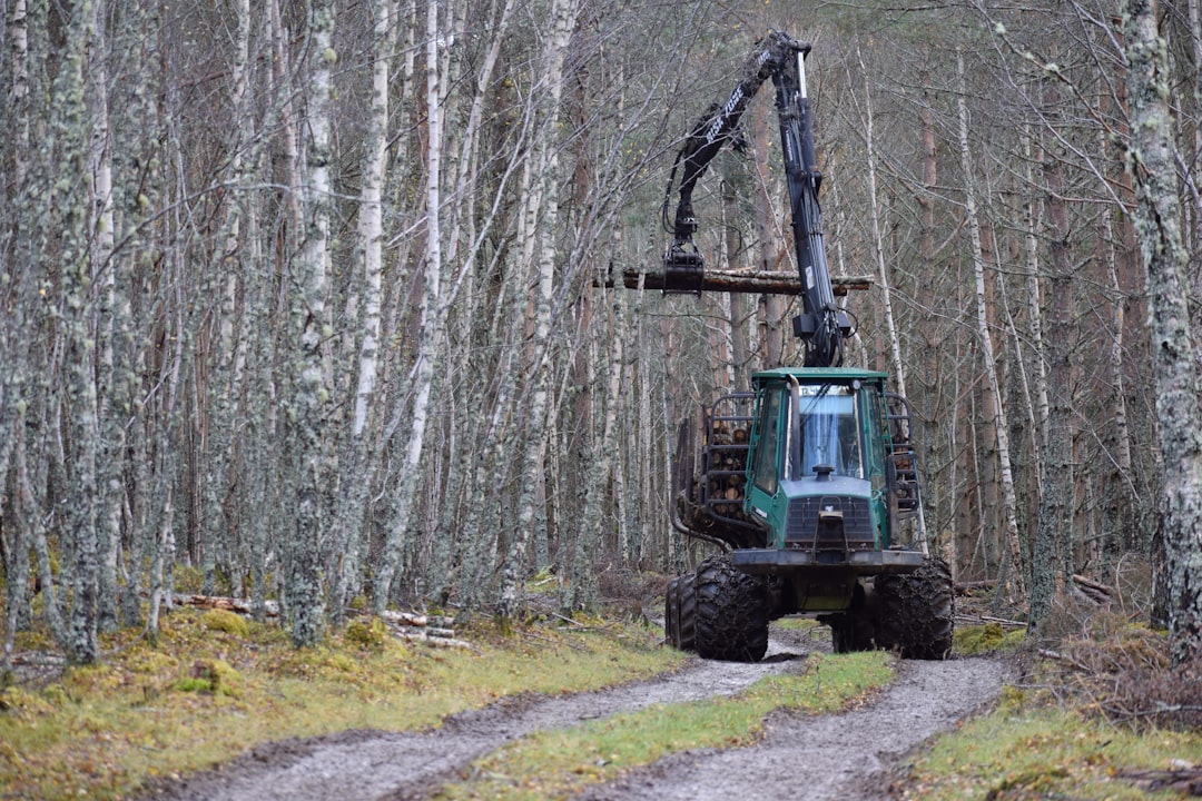 forestry