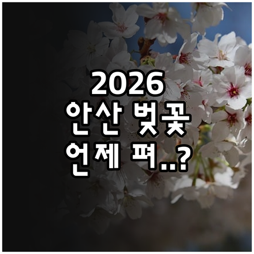 2026년 안산 단원구 벚꽃 개화 시..