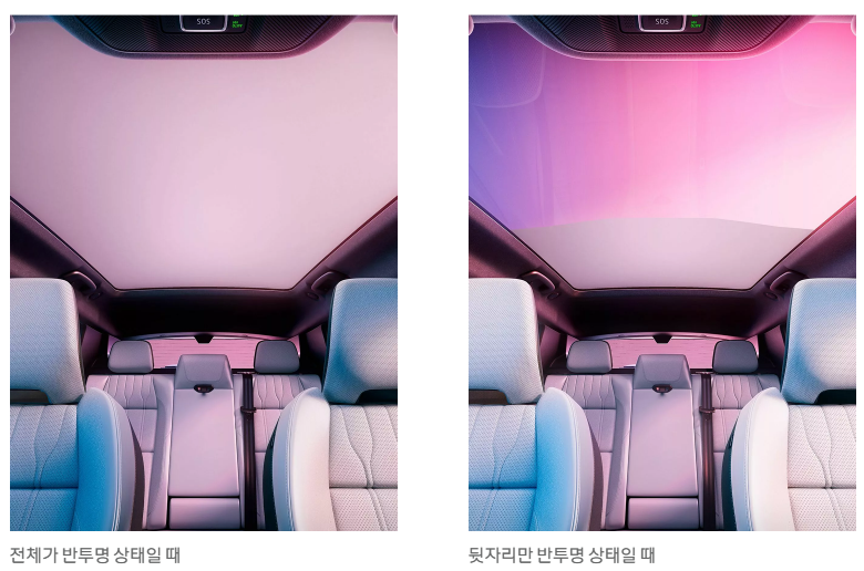 르노 세닉