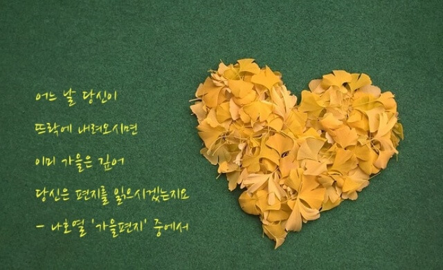 '가을편지' 시구절이 들어간 이미지