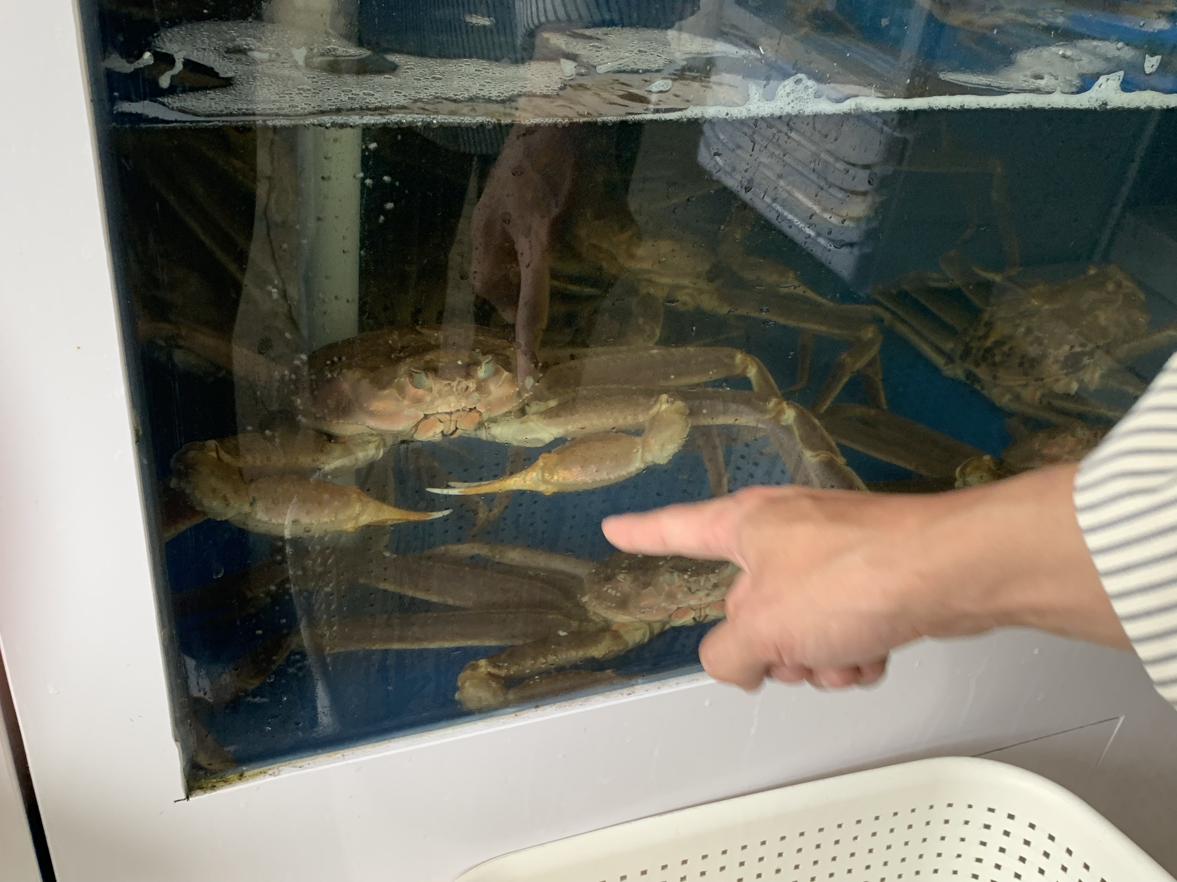 영종도 킹크랩 맛집 잇츠크랩 킹크랩 대게 맛집 내돈내산 방문후기