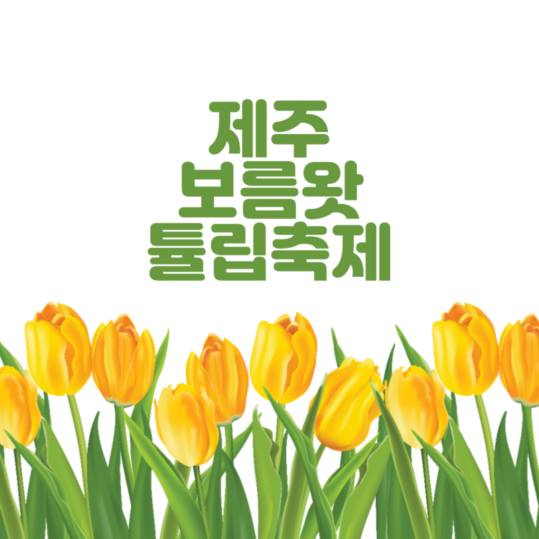 제주 보름왓 튤립축제 봄꽃 여행 필수코스