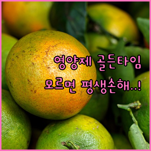 영양제 복용 시간과 흡수율 높이는 성..