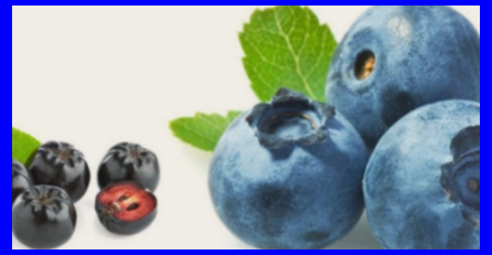 아리즈웰 베리플러스