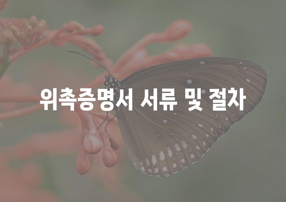샘플 (51)