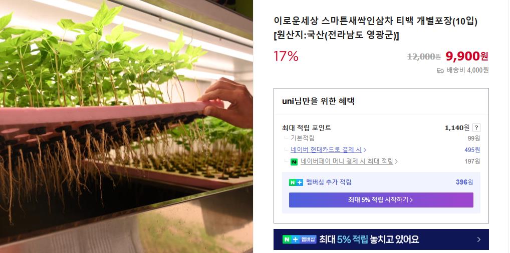 생방송오늘아침 새싹인삼